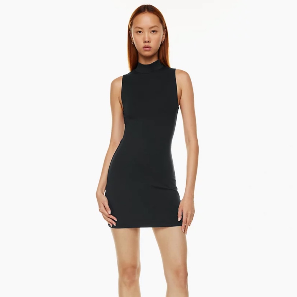 Aritzia Contour Mockneck Mini Dress